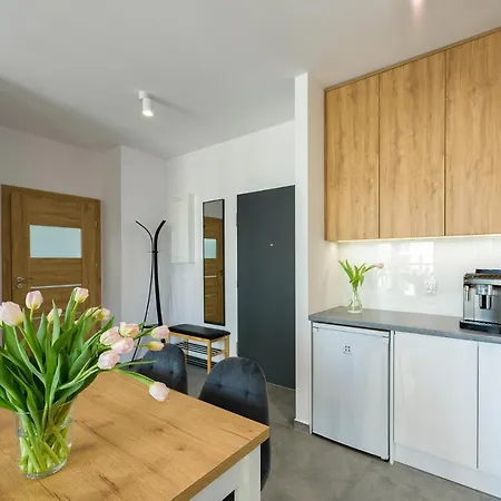 Tespis - Sokolska 30 Towers Lägenhet Katowice